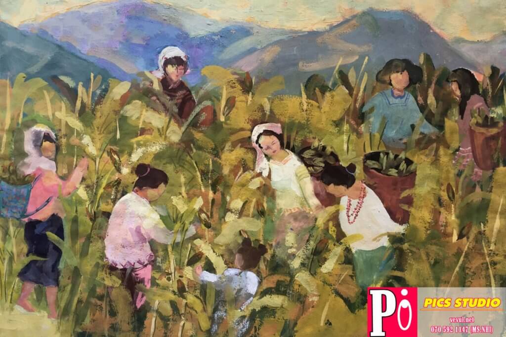BỐ CỤC LÊN NƯƠNG HÁI BẮP