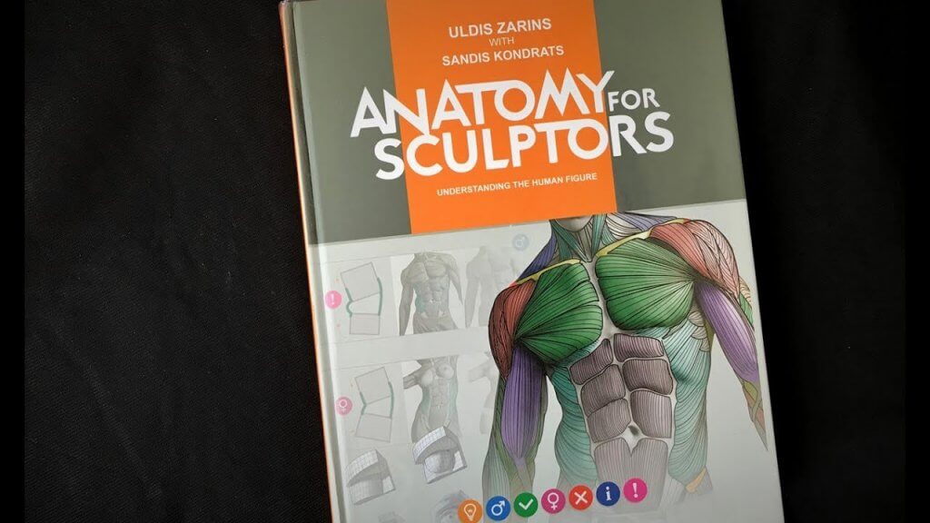 Anatomy For Sculptors - Giải phẫu cho điêu khắc