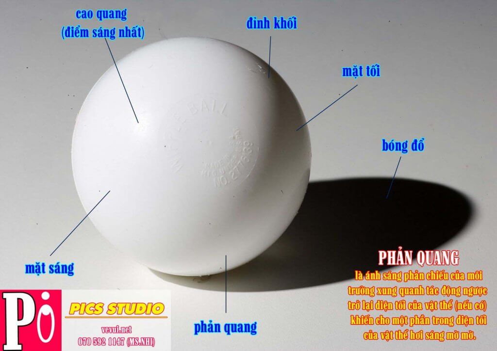 PHẢN QUANG - TIẾNG LÓNG TRONG VẼ